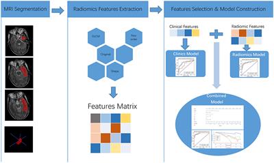 MRI-based radiomics models for the early prediction of radiation-induced temporal lobe injury in nasopharyngeal carcinoma